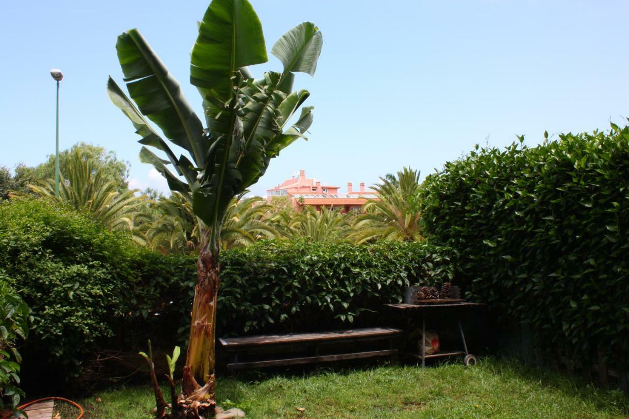 Apartamentos Con Jardin Y Pescina Puerto de la Cruz  Exterior photo